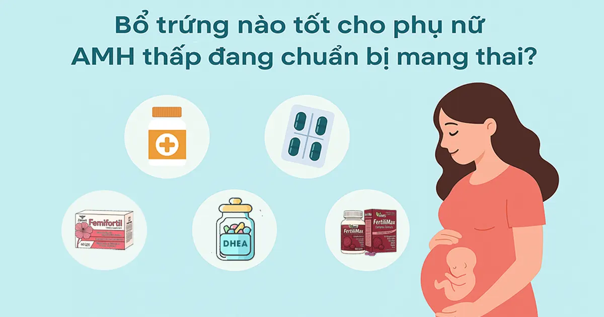 Bổ trứng nào tốt cho phụ nữ AMH thấp đang chuẩn bị mang thai?