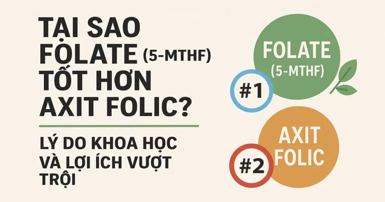 Tại Sao Folate (5-MTHF) Tốt Hơn Axit Folic? Lý Do Khoa Học Và Lợi Ích Vượt Trội