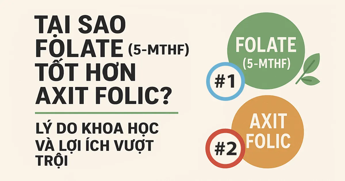 Tại Sao Folate (5-MTHF) Tốt Hơn Axit Folic? Lý Do Khoa Học Và Lợi Ích Vượt Trội