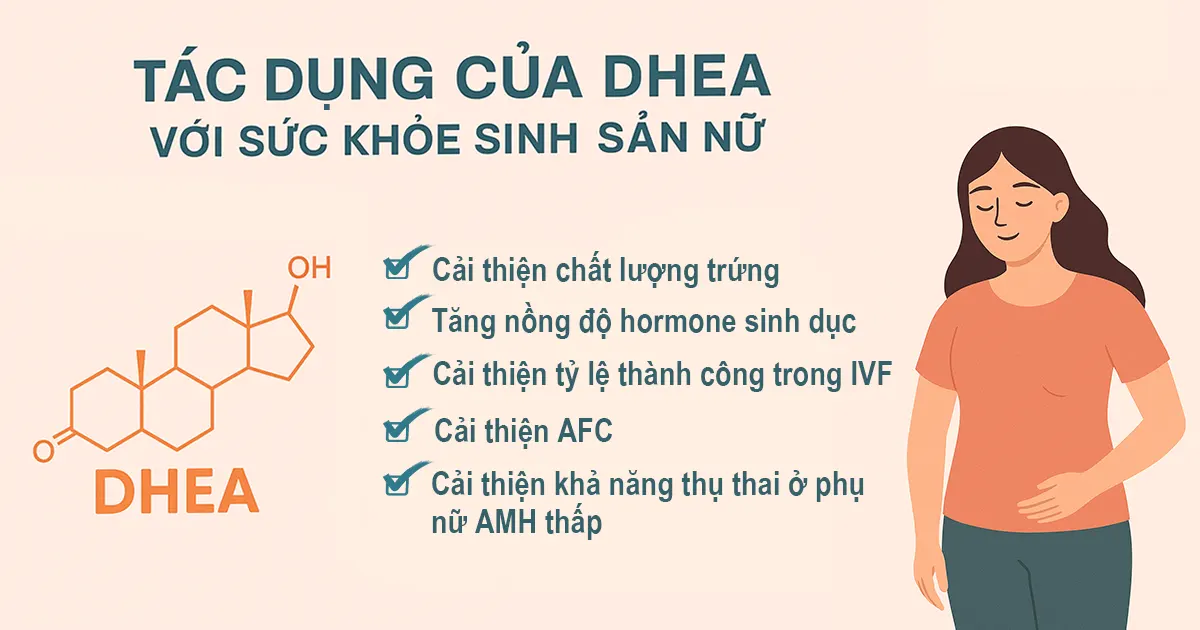 Tác dụng của DHEA với sức khỏe sinh sản nữ: Hy vọng mới cho phụ nữ hiếm muộn
