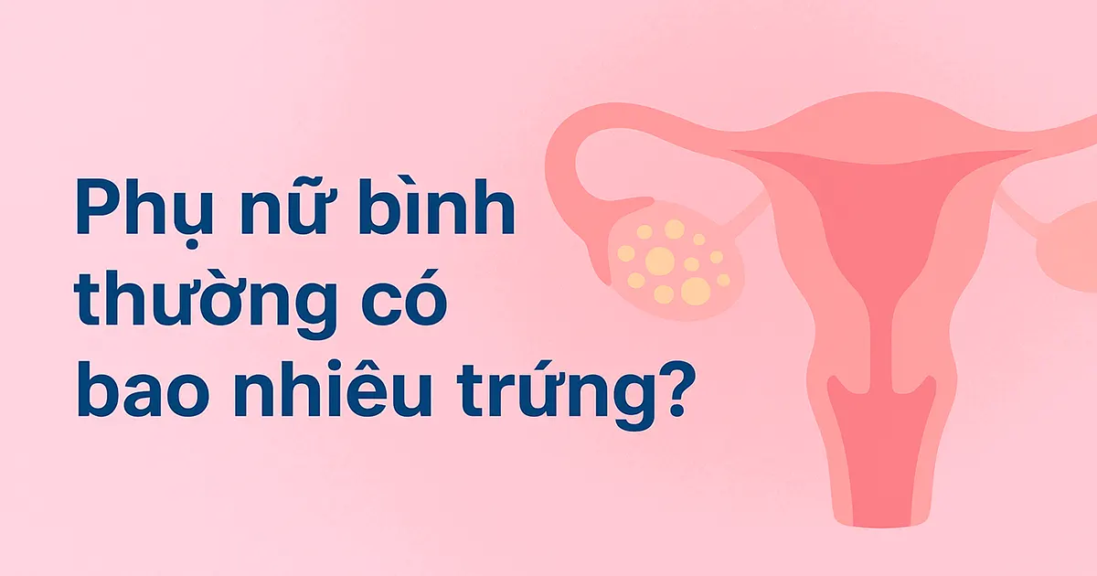 Phụ nữ bình thường có bao nhiêu trứng?