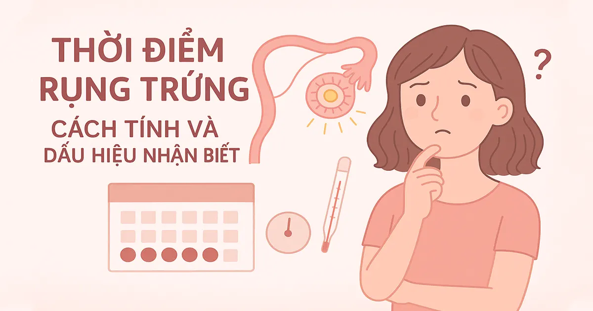 Thời điểm rụng trứng: Cách tính và dấu hiệu nhận biết